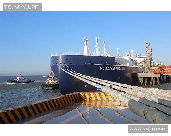 亚马尔地区的能源战略与全球市场的互动关系分析